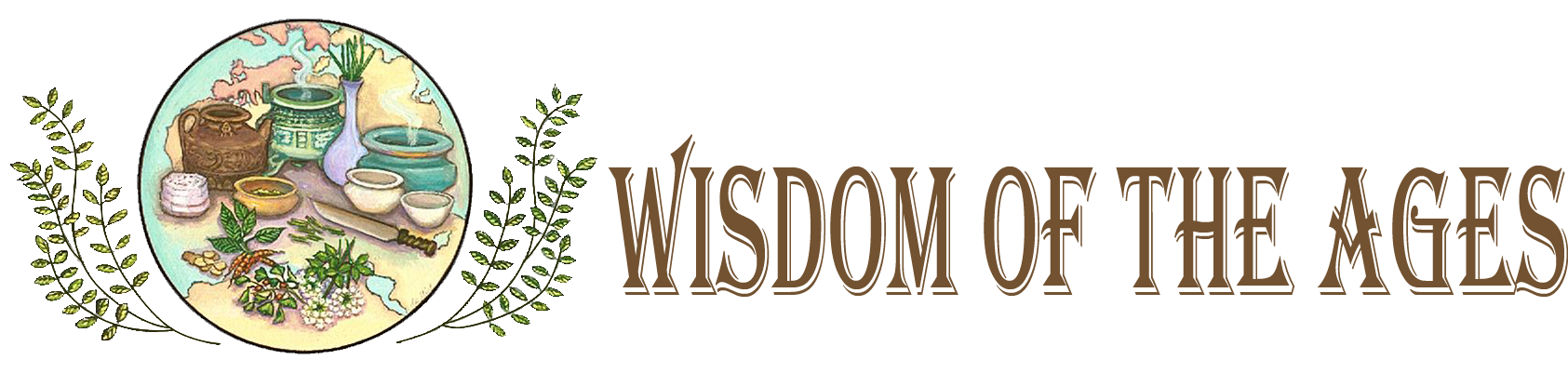 Wisdom of the ages llc